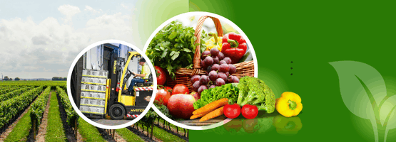 SLIDE 1 MEDI (2) SLIDE 1 MEDI (2)